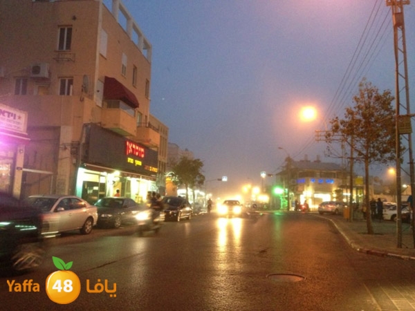 fogsyaffa5025 (1).JPG